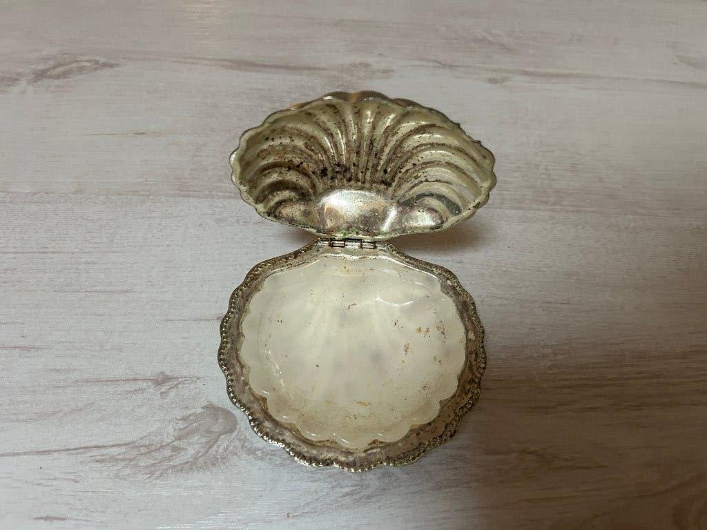 oester schelp, Ophalen of Verzenden, Gebruikt