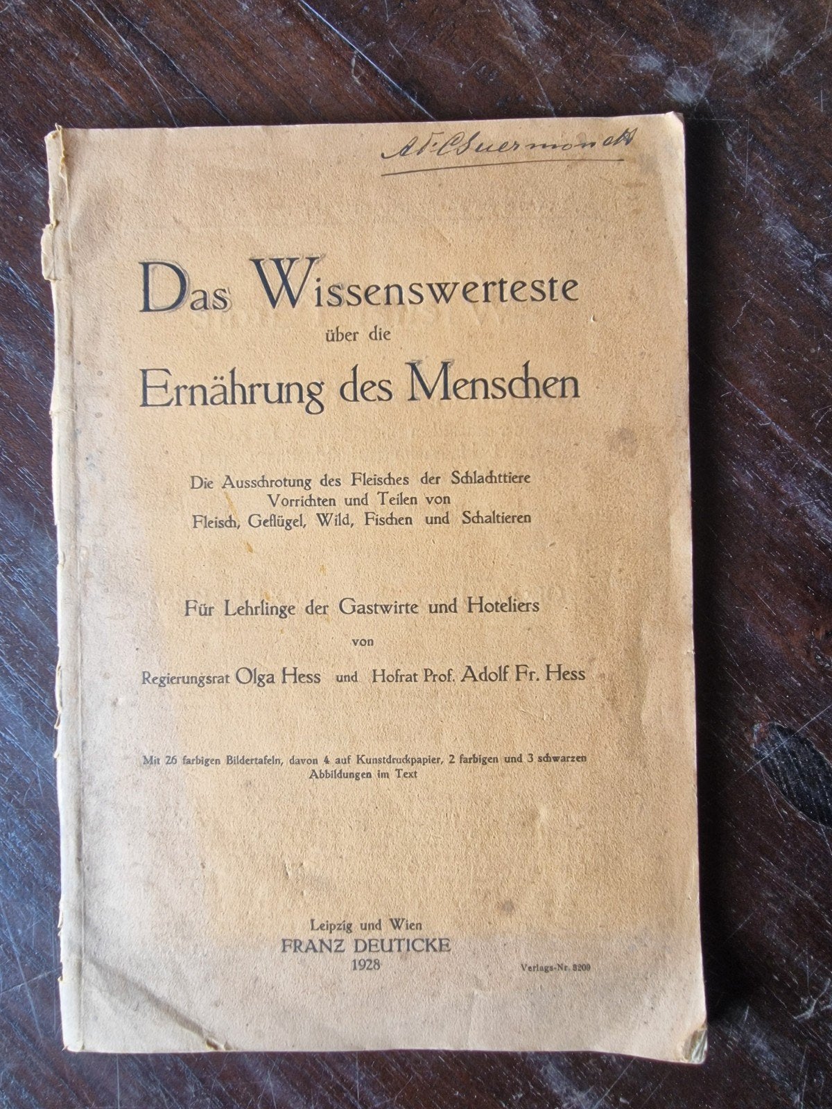 Das Wissenswerteste über die Ernährung des Menschen (1928), Antiek en Kunst, Ophalen of Verzenden, Olga Hess en Adolf Fr. Hess