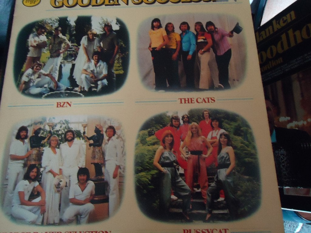 gouden hits, Cd's en Dvd's, Vinyl | Nederlandstalig, Ophalen of Verzenden, Zo goed als nieuw, 12 inch, Overige genres