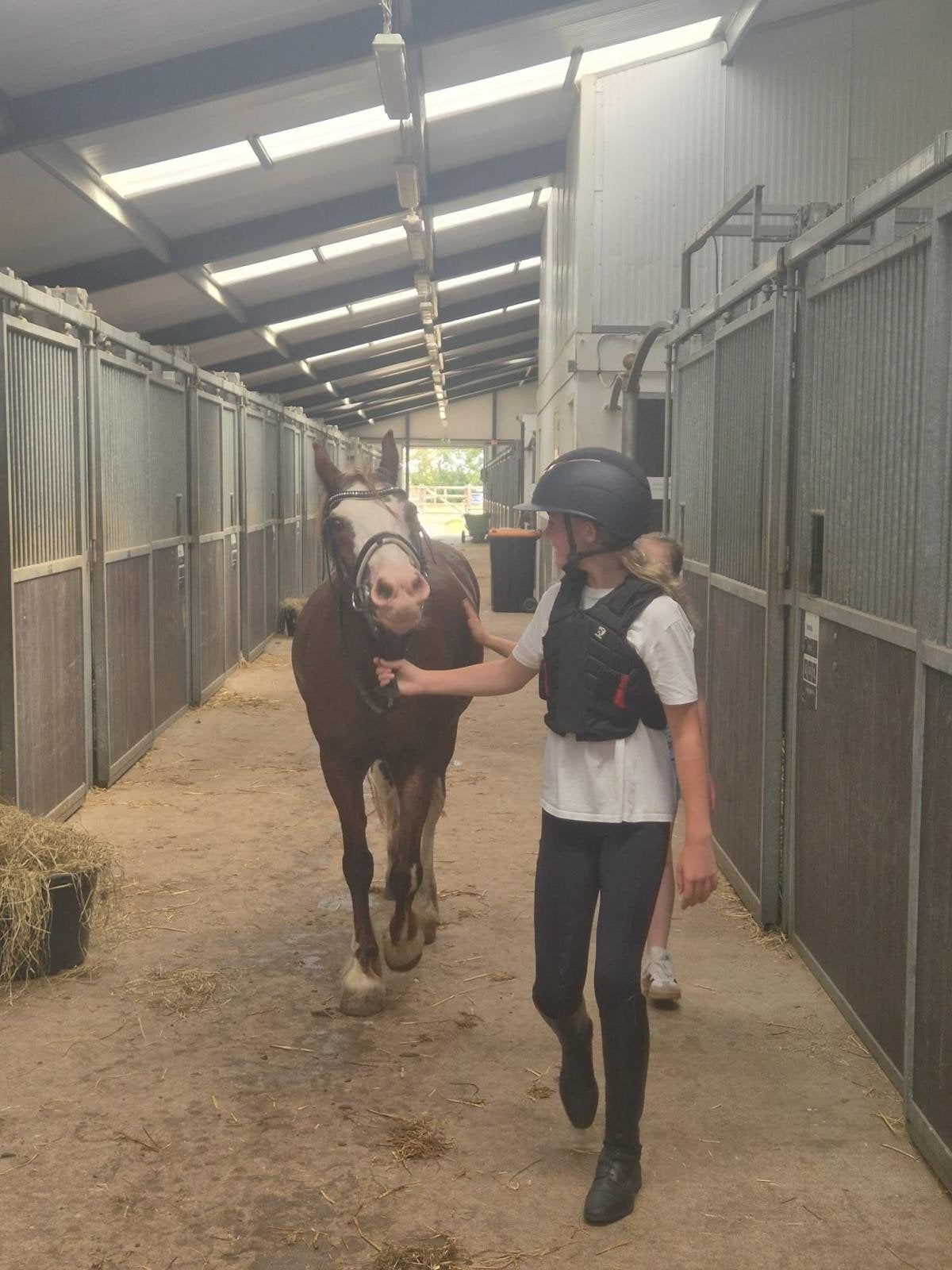 Verzorgpony gezocht‼️, Ophalen