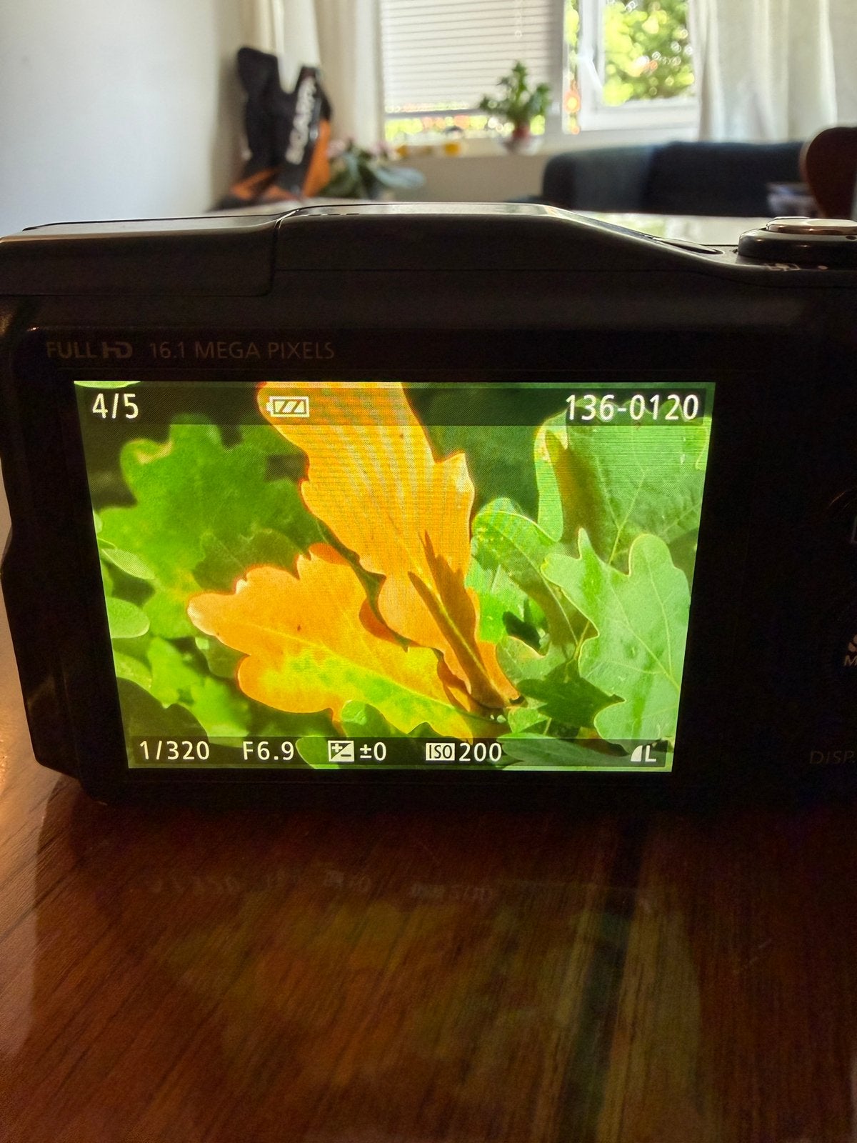 Echte Zoom: Canon SX700 HS 30x vs iPhone 17 Pro Max, Canon, 16 megapixels, Ophalen of Verzenden, Zo goed als nieuw