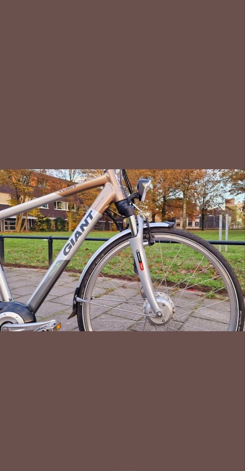 Giant elektrische fiets (zonder accu en display), Ophalen of Verzenden, Gebruikt, Giant