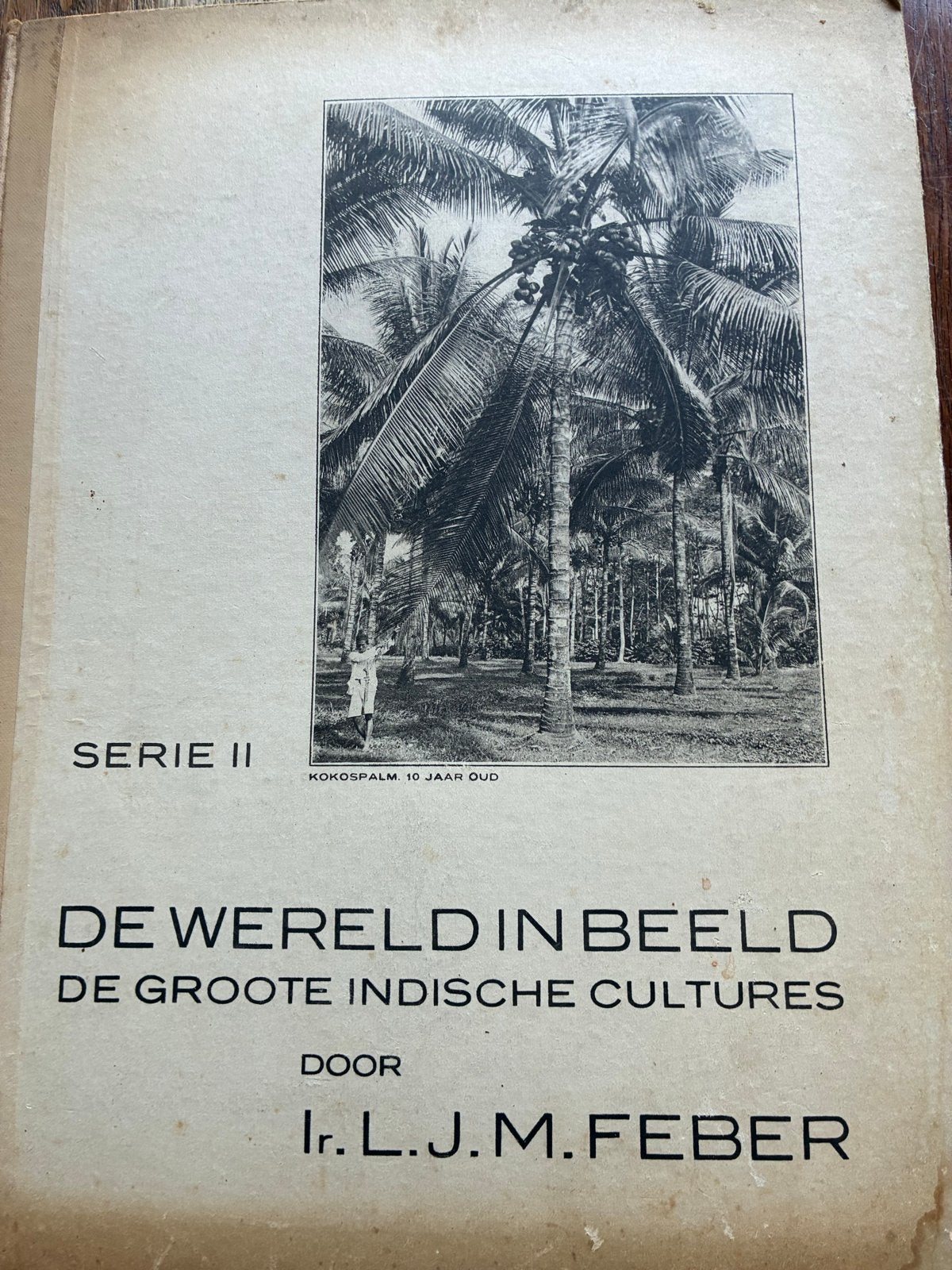 De Wereld in Beeld: De Grote Indische Cultures (Serie II), Ophalen of Verzenden, 20e eeuw of later, Gelezen