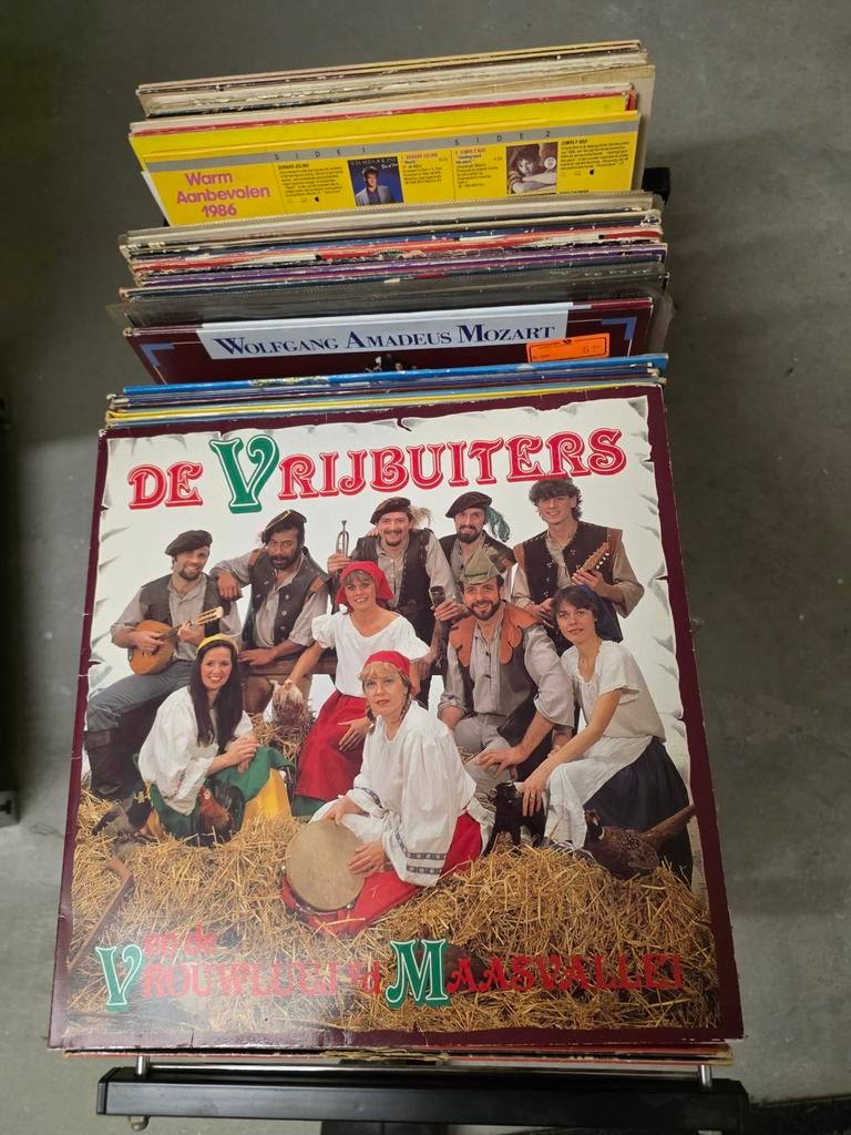LP de Vrijbuiters, Ophalen of Verzenden, Gebruikt, 12 inch, Levenslied of Smartlap