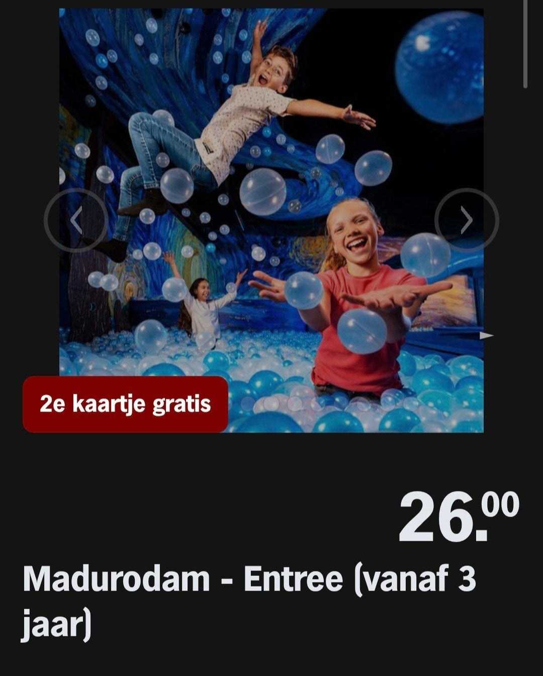 MADURODAM ♡ 2e kaartje gratis (AH Spaarkaarten), Overige soorten