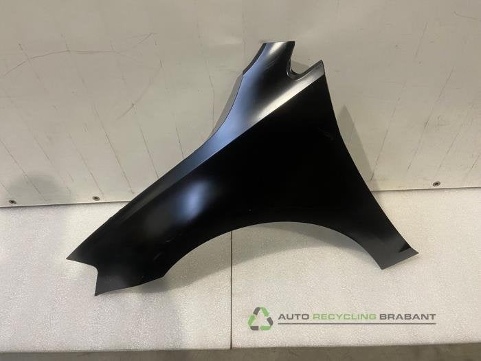 Scherm links-voor van een Volkswagen Golf, Gebruikt, -, Volkswagen, -