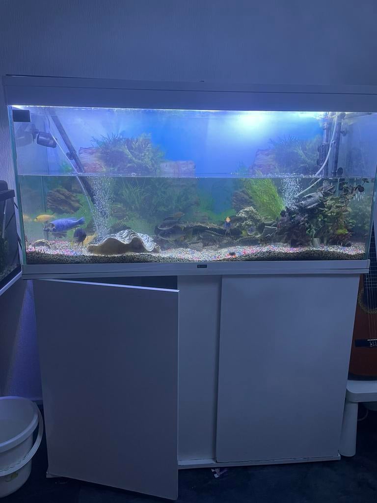 Aquarium MOET WEG!, Ophalen, Gebruikt, Leeg aquarium