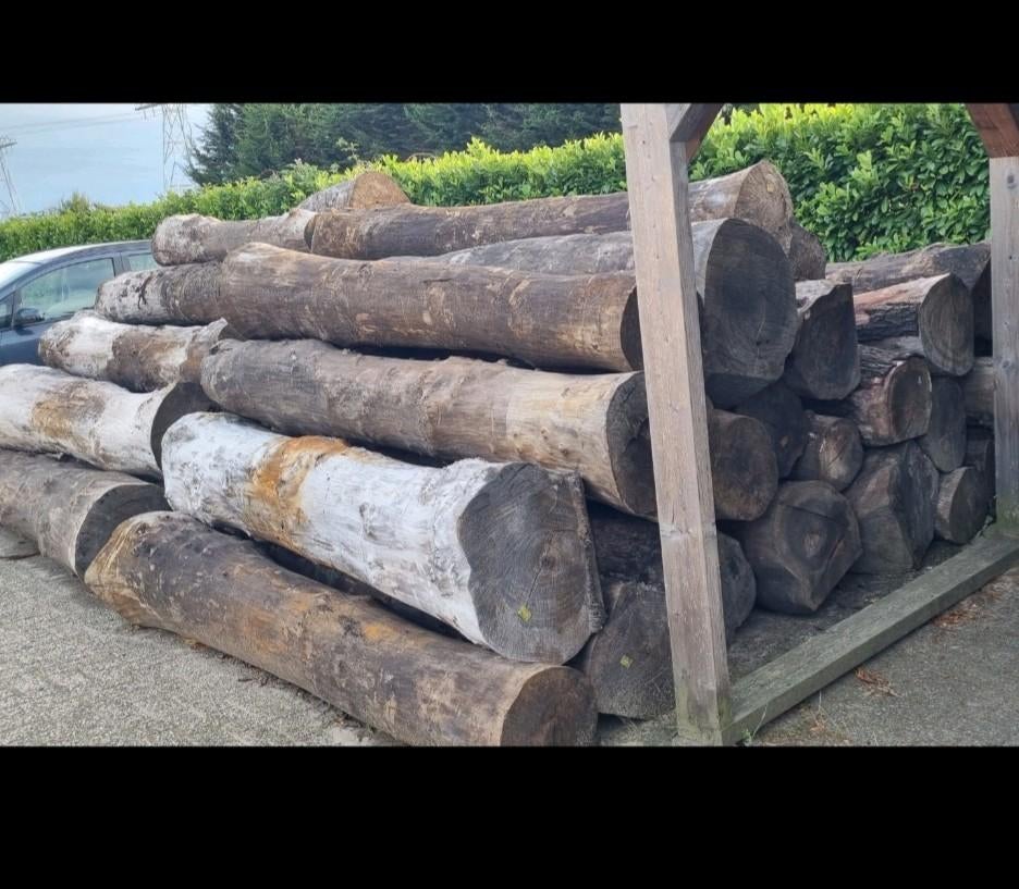 Gewaterd iepenhout, Doe-het-zelf en Verbouw, Hout en Planken, Minder dan 25 mm, Ophalen of Verzenden, Pallet, Minder dan 200 cm