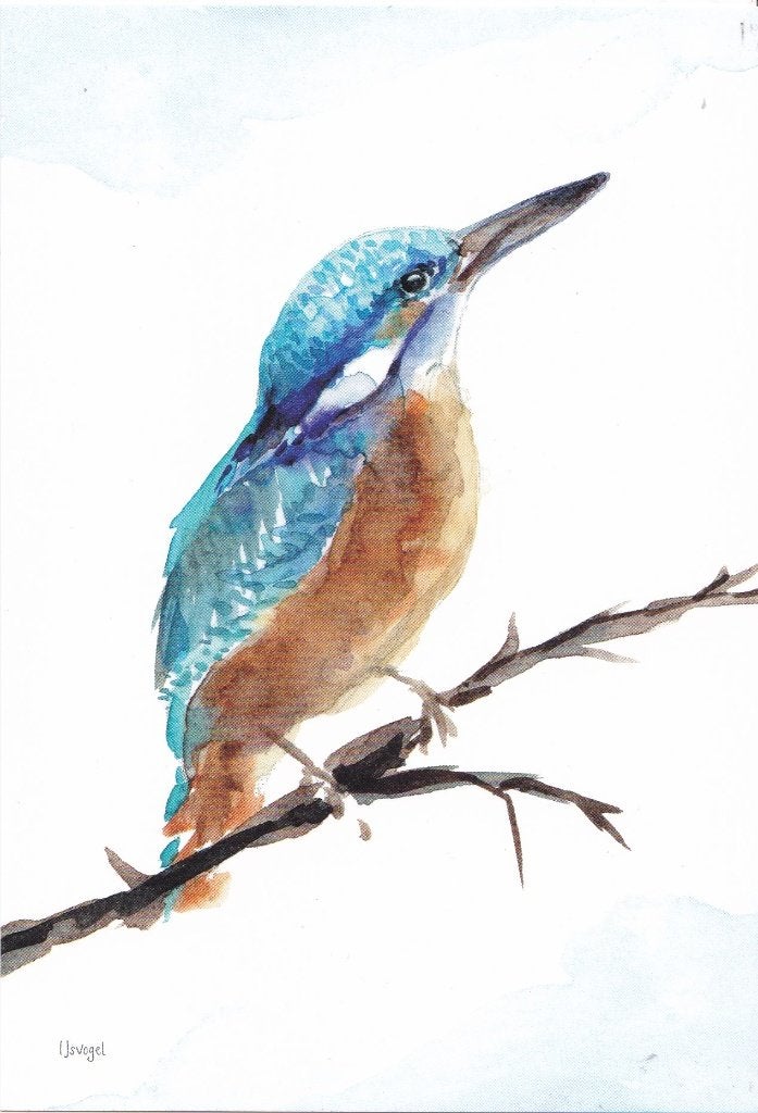 Michelle Dujardin - Landgoed Haarzuilens – ijsvogel, Verzenden, 1980 tot heden, Ongelopen, Natuur