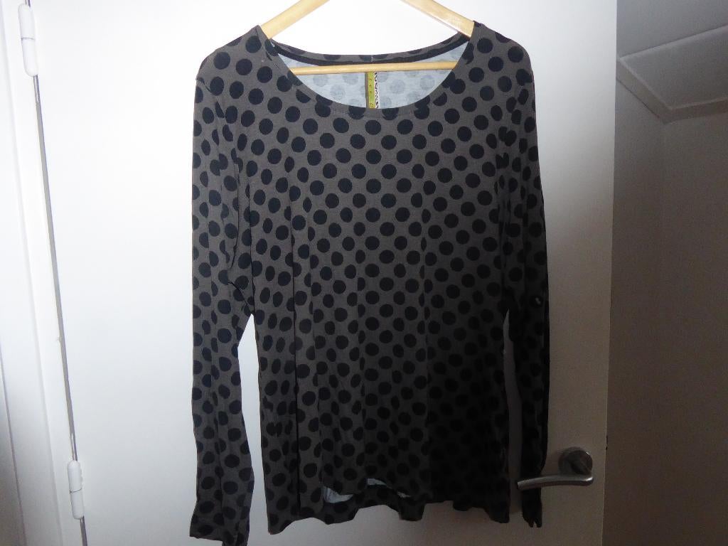 Shirt Eva Claudi, Kleding | Dames, Maat 46/48 (XL) of groter, Ophalen of Verzenden, Zo goed als nieuw, Grijs