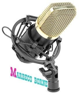Studio Condensator Microfoon Zwart, CM400B, Vonyx, Nieuw, Info@marbeco.nl, Studiomicrofoon