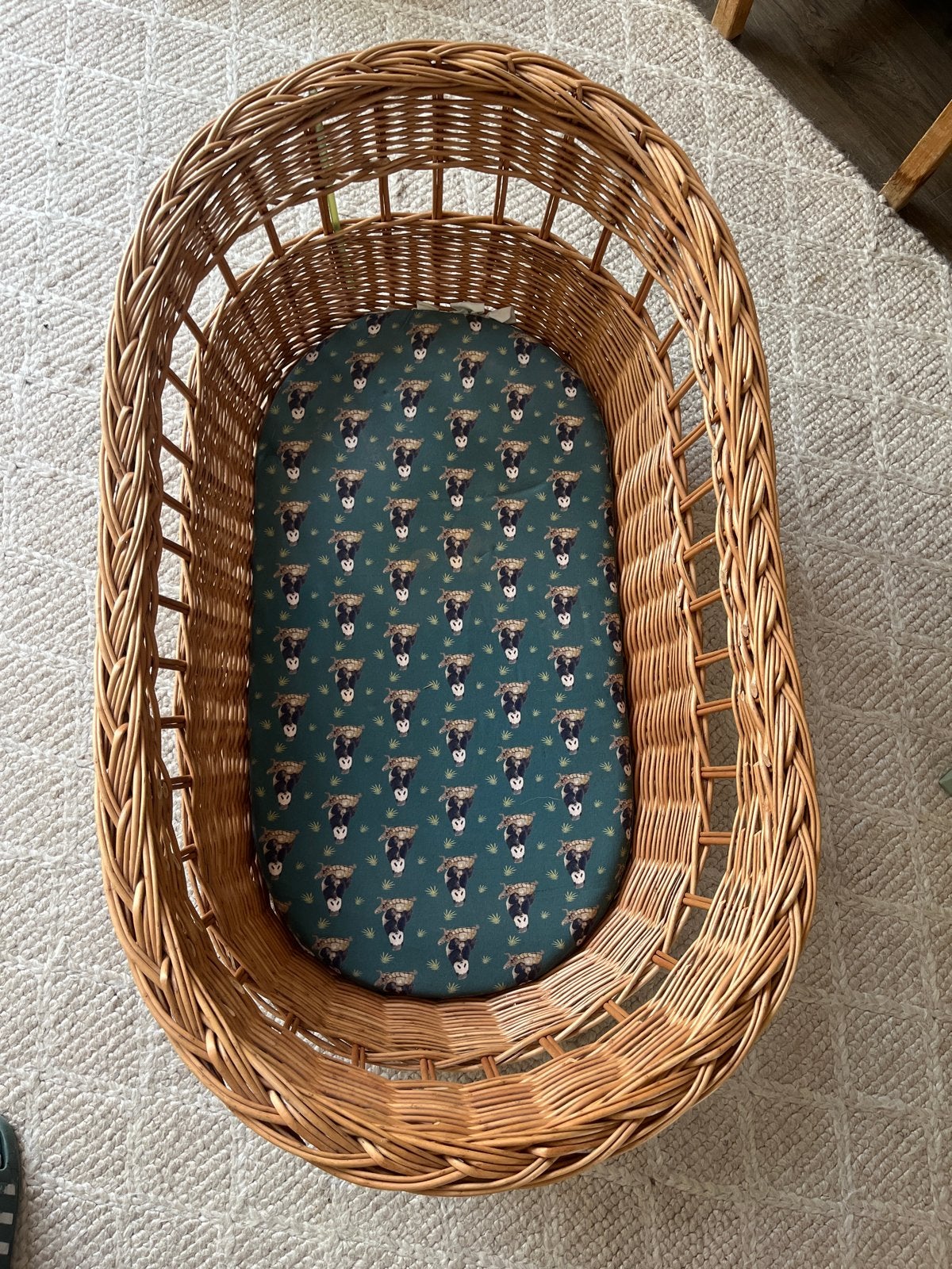 Rotan wieg met matrasje, Ophalen, Gebruikt, Wieg