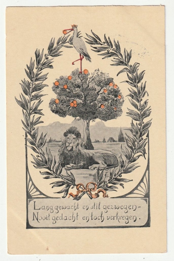 Anischtkaart leeuw onder oranjeboom geboorte Juliana 1909, Gebruikt, Verzenden, Kaart, Foto of Prent, X