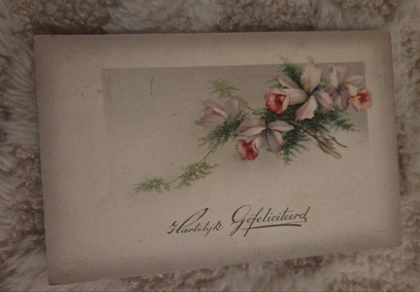 Oude ansichtkaart "Hartelijk Gefeliciteerd" met bloemen, Verzenden, Voor 1920, Gelopen, Overige thema's