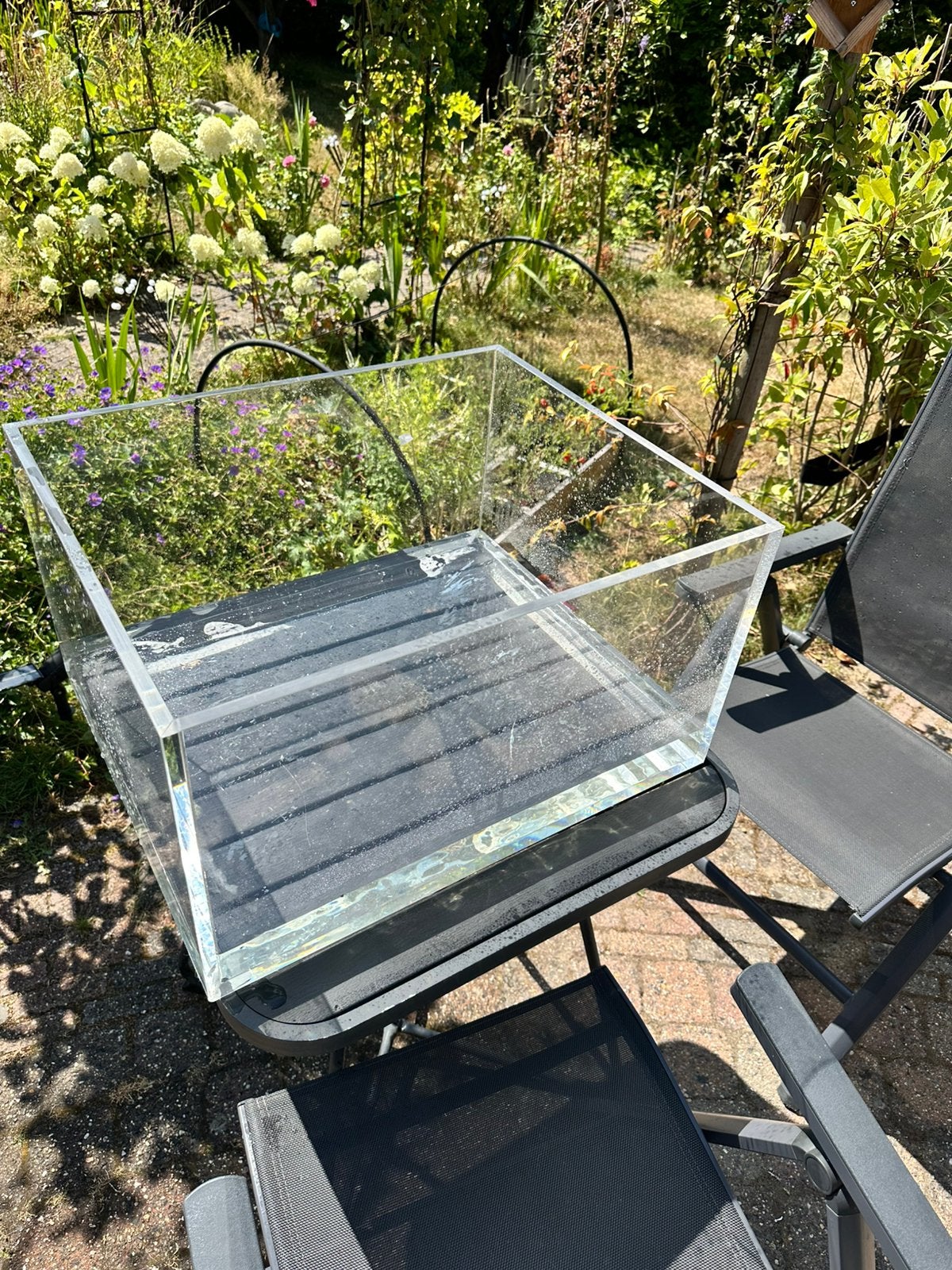 Te koop: plexiglas bak, Ophalen, Gebruikt, Terrarium of Paludarium
