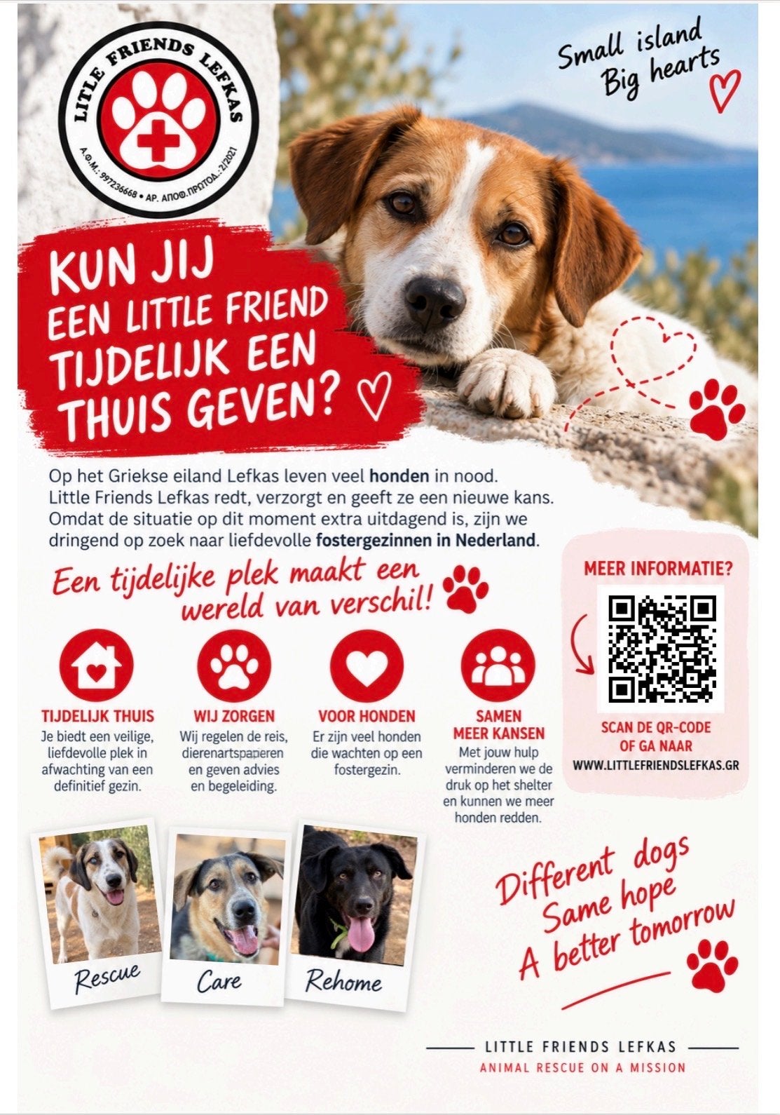 DRINGEND: opvanggezinnen gezocht voor honden uit Griekenland, Starter, Overige vormen, Overige uren, LBO / VMBO