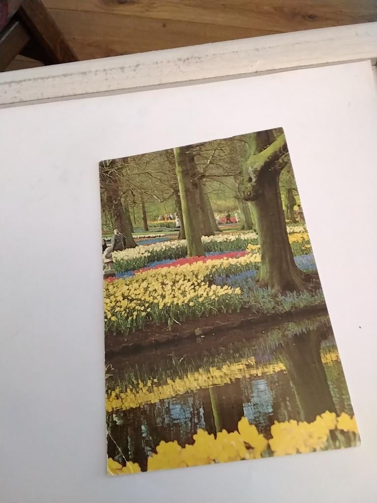 KEUKENHOF LISSE, Ophalen of Verzenden