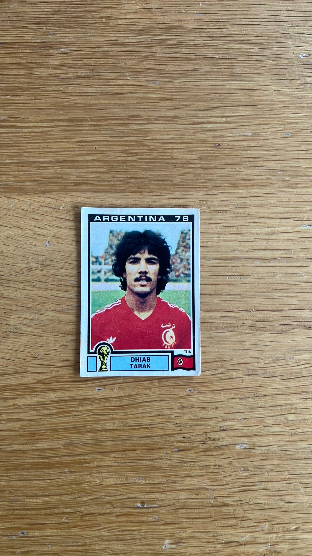 Panini Argentina ‘78, Ophalen of Verzenden