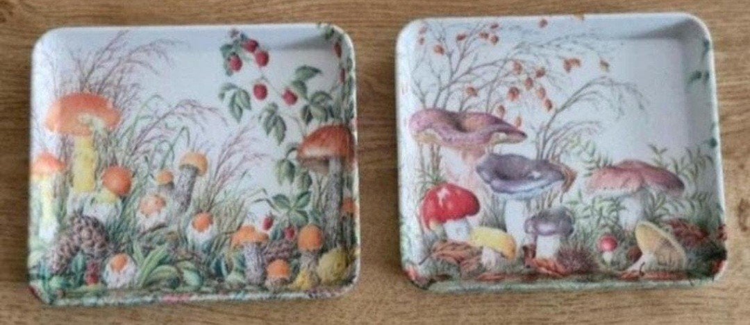 Twee vintage Trays met paddenstoelen en bosvruchten, Huis en Inrichting, Kunststof, Gebruikt, Overige merken, Vintage