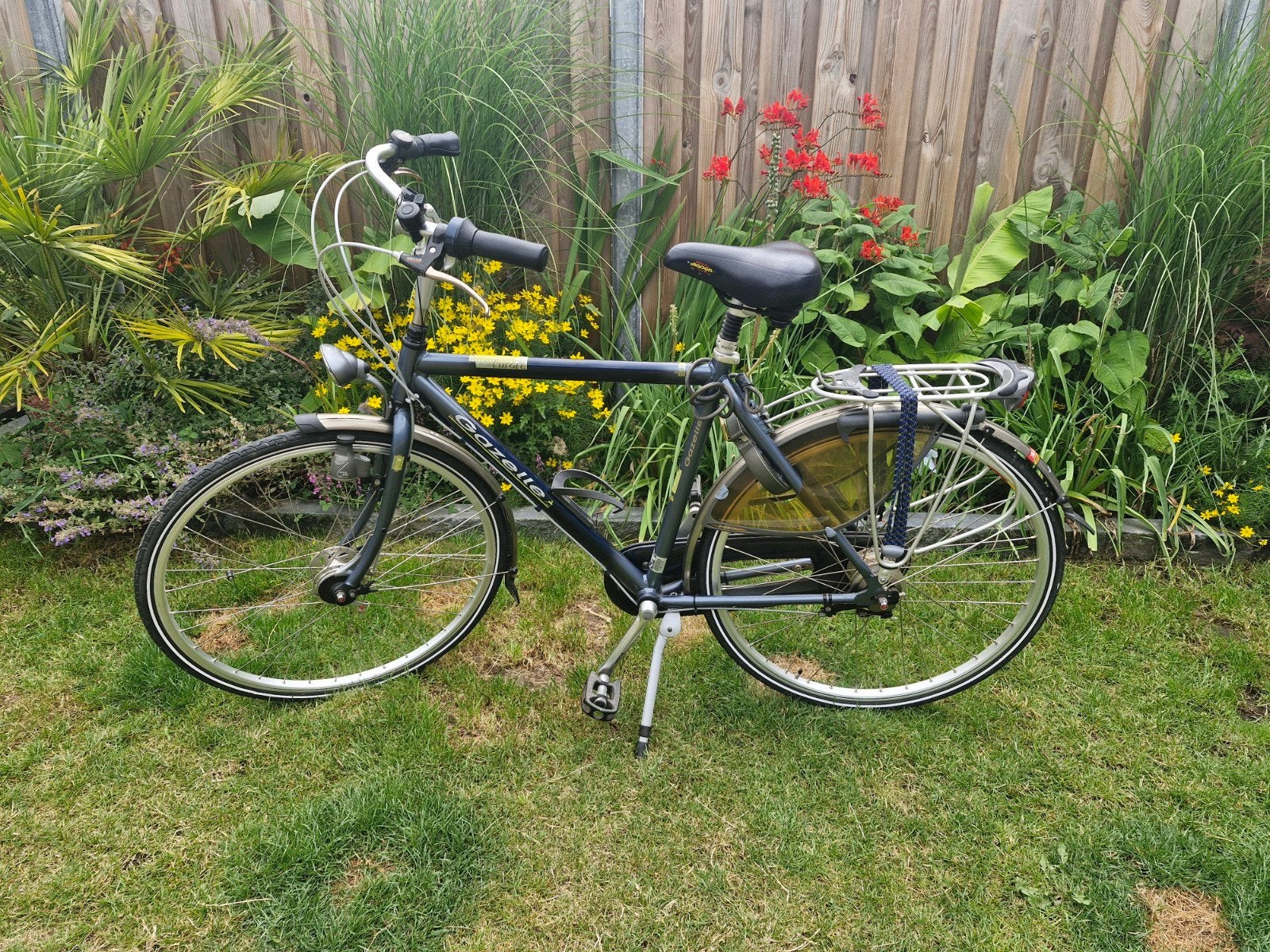 Gazelle Furore herenfiets - Framehoogte 54 cm, Ophalen, Terugtraprem, Versnellingen, Gazelle