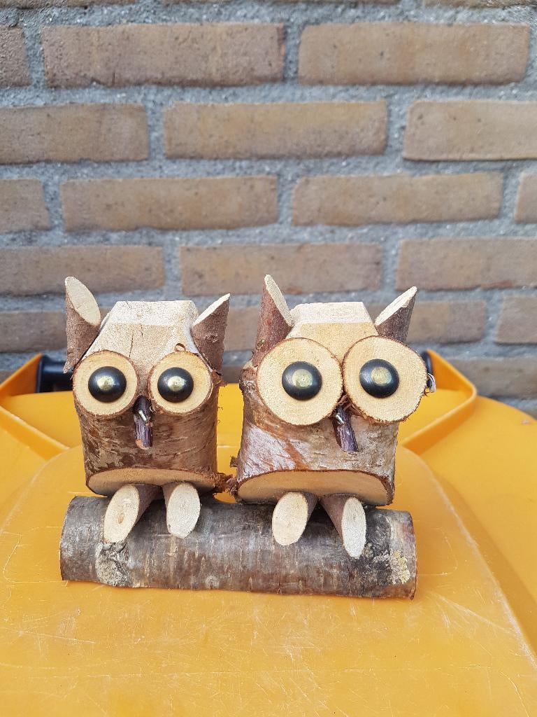 2 uilen op een boomstam, Ophalen of Verzenden