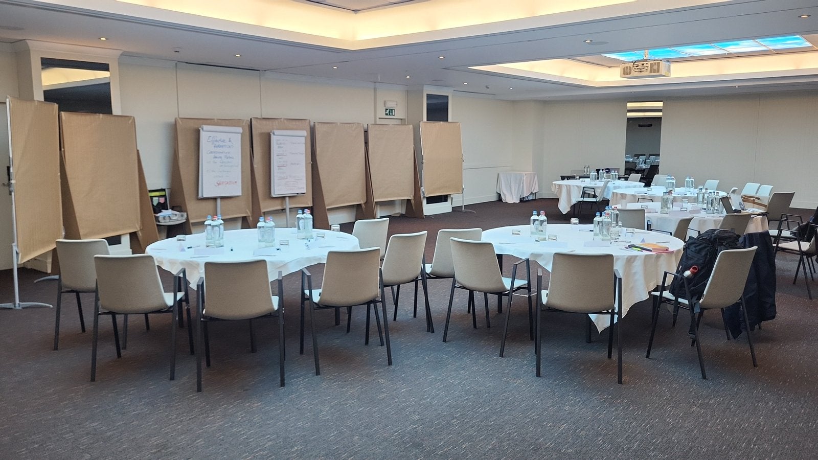 Kartonnen & Neuland Pinborden voor Workshops (6 stuks), Ophalen of Verzenden, Gebruikt, Overige typen