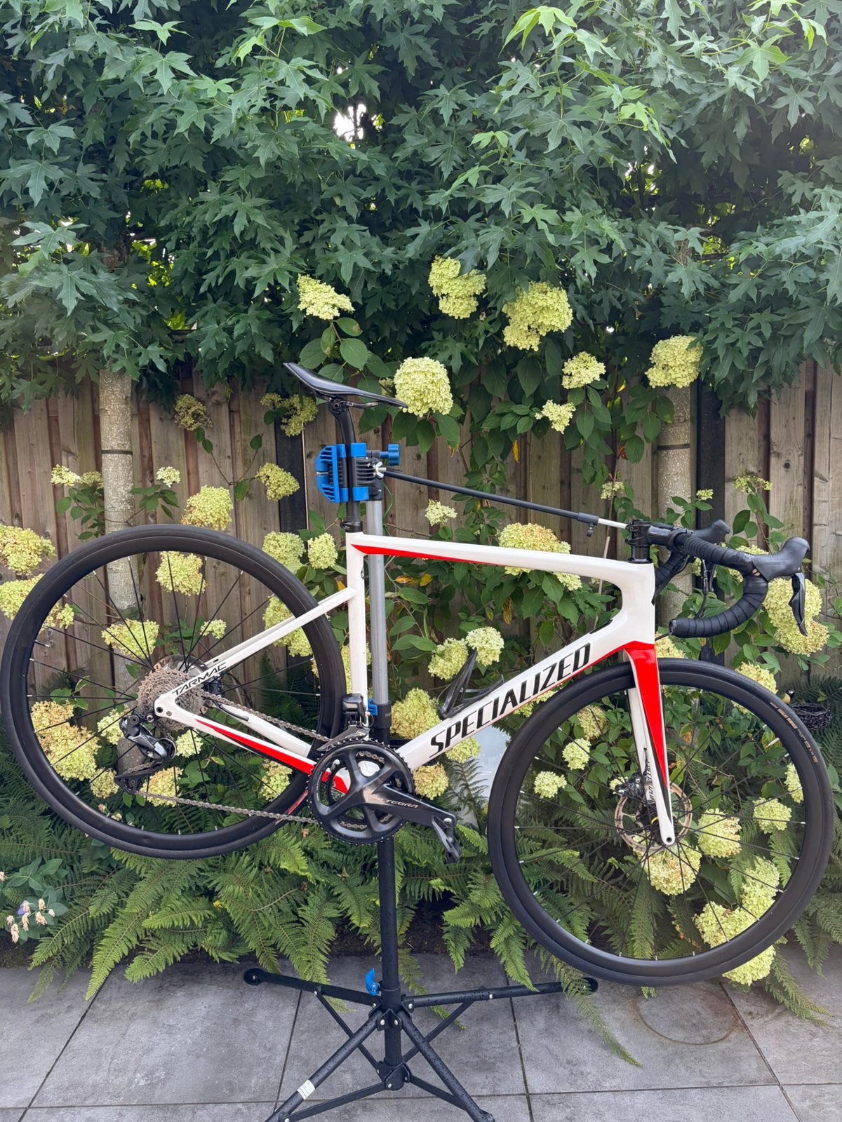 Specialized Tarmac sl6 di2, Gebruikt, Carbon, Heren, Meer dan 20 versnellingen