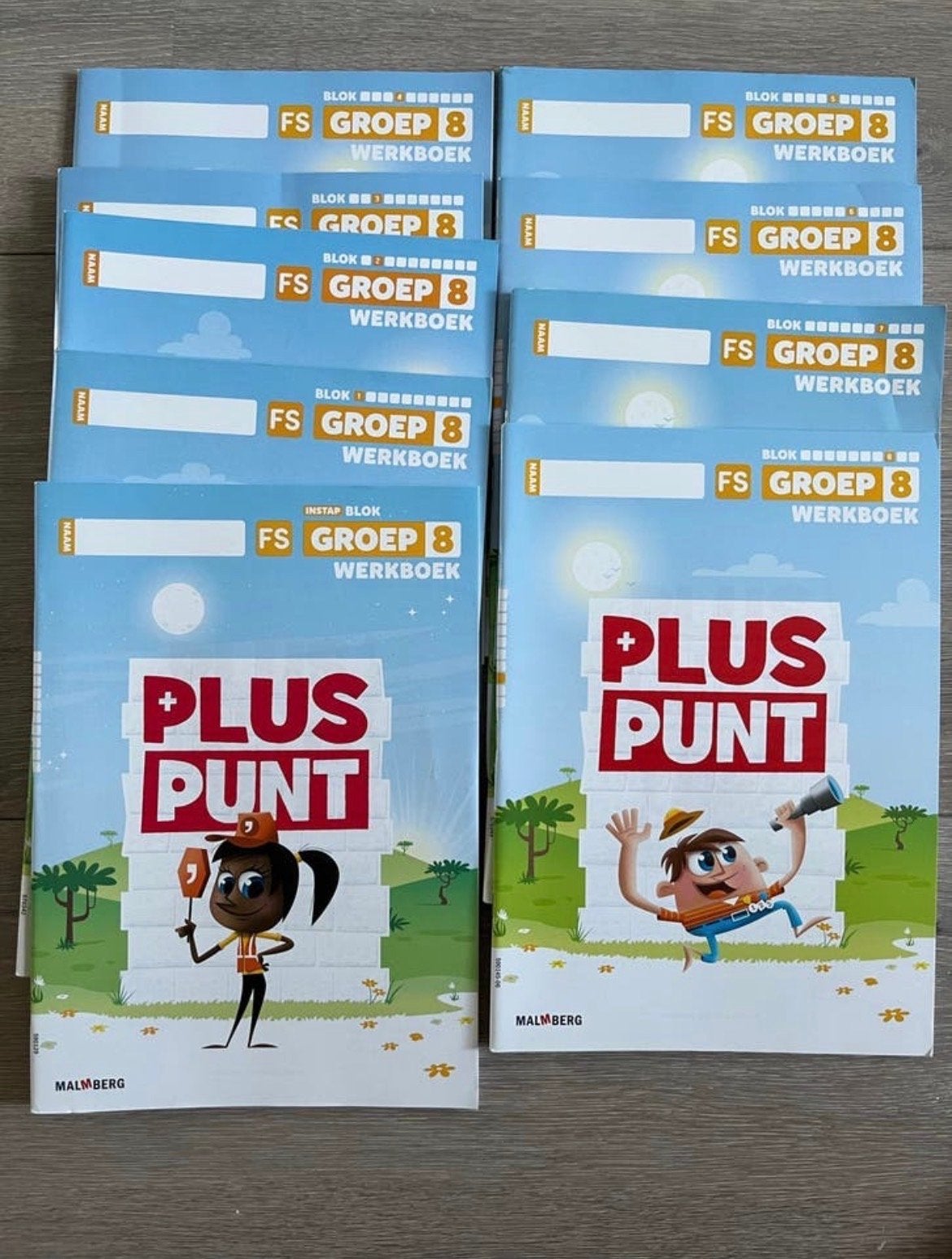 Pluspunt rekenen werkboeken set groep 8 Fs nieuw!, Boeken, Ophalen of Verzenden, Nieuw, Overige vakken