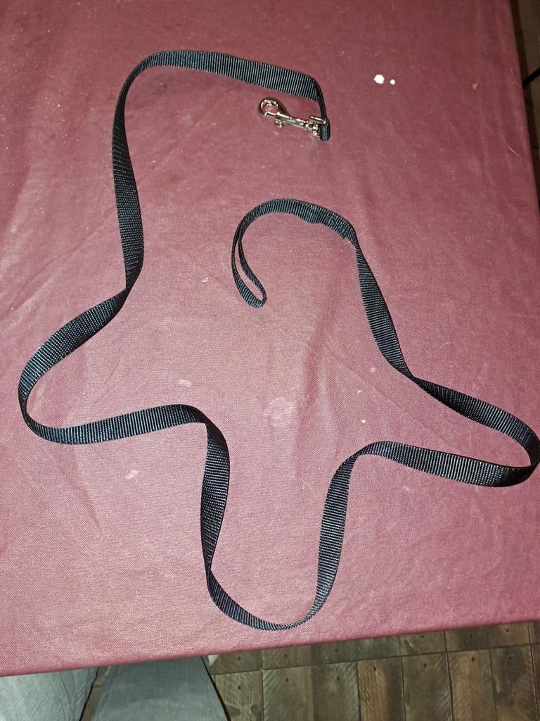 Nylon hondenrien, Ophalen of Verzenden, Nieuw