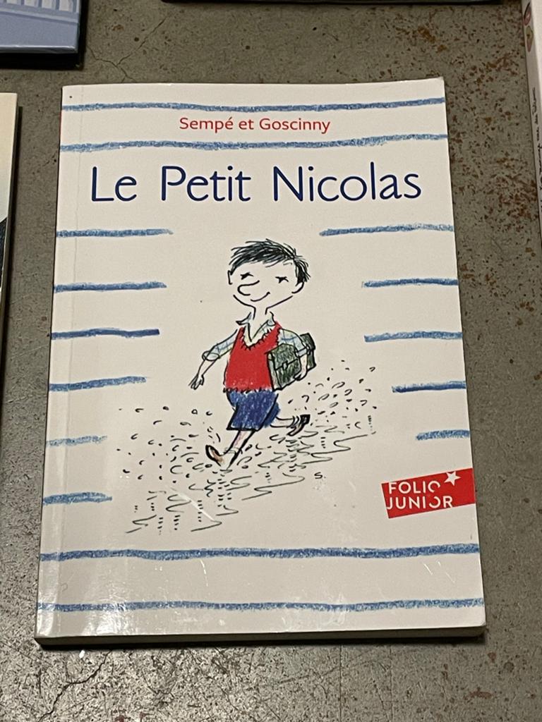Le Petit Nicolas - Sempé et Goscinny (Folio Junior), Boeken, Ophalen of Verzenden, Gelezen, Fictie algemeen