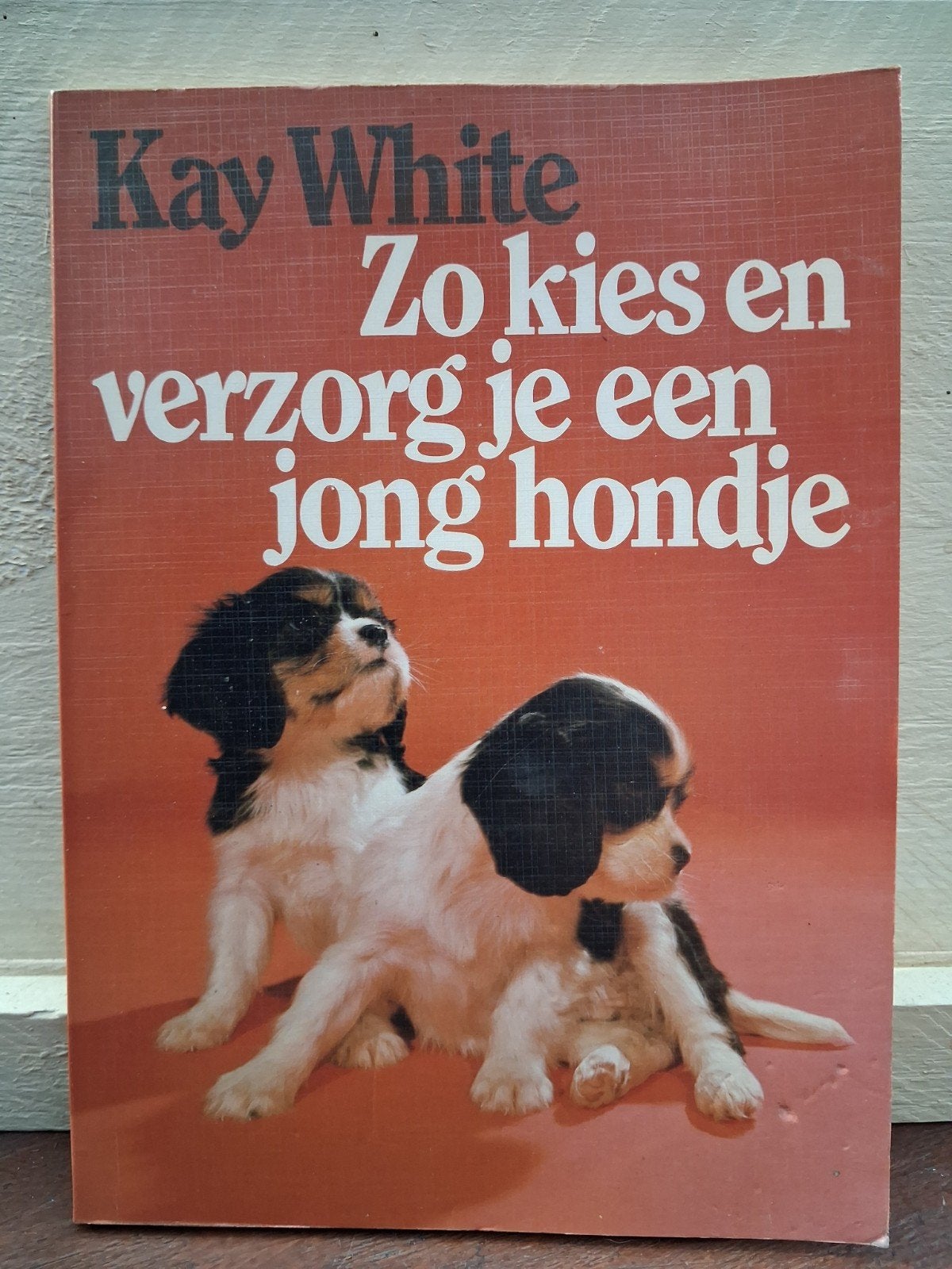 Zo kies en verzorg je een jong hondje - Kay White, Ophalen of Verzenden, Gelezen, Honden, Kay White