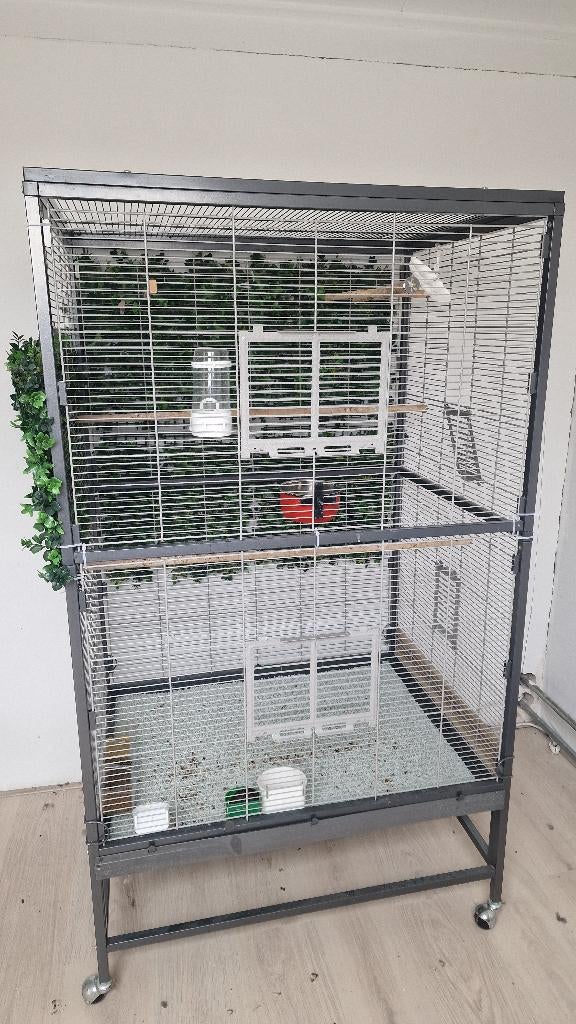 Grote vogelkooi, Ophalen, Zo goed als nieuw, Metaal, Vogelkooi