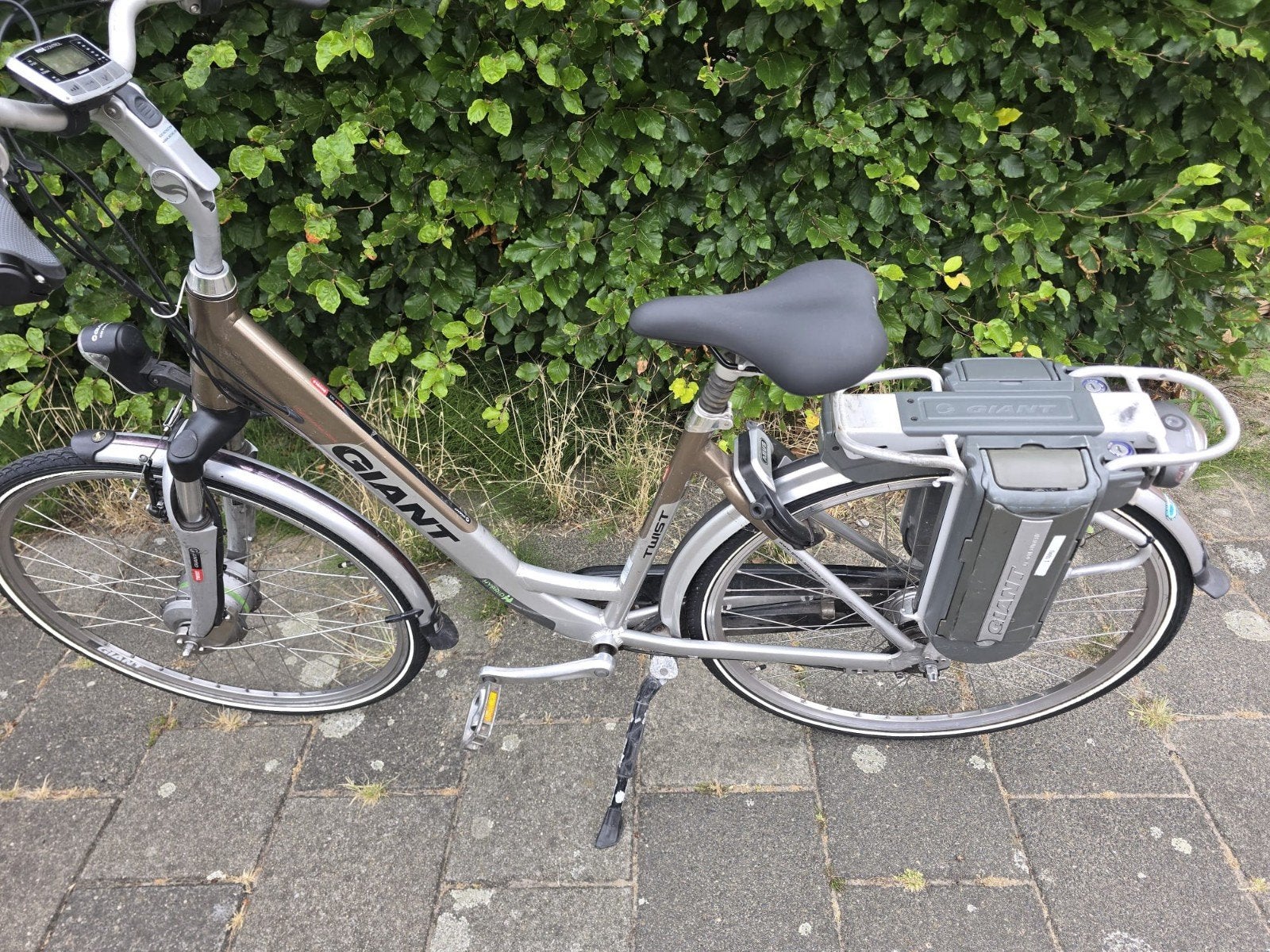 Giant elektrische fiets, Ophalen of Verzenden, Gebruikt, Overige merken