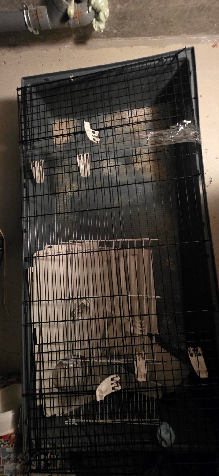 konijnenhok of voor cavia's, Minder dan 60 cm, 110 cm of meer, Cavia, Ophalen of Verzenden
