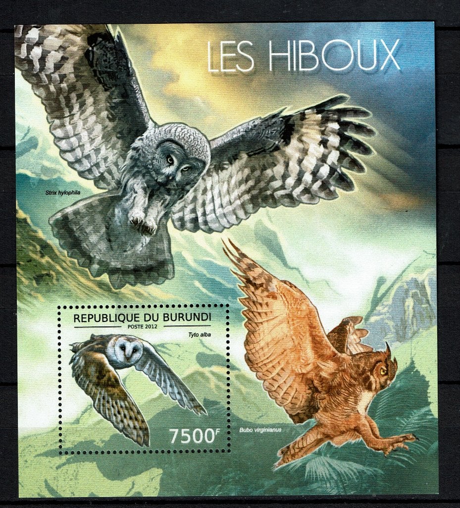 BURUNDI 2012 PF BLOK UILEN OWLS VOGELS BIRDS, Ophalen of Verzenden, Postfris, Dier of Natuur