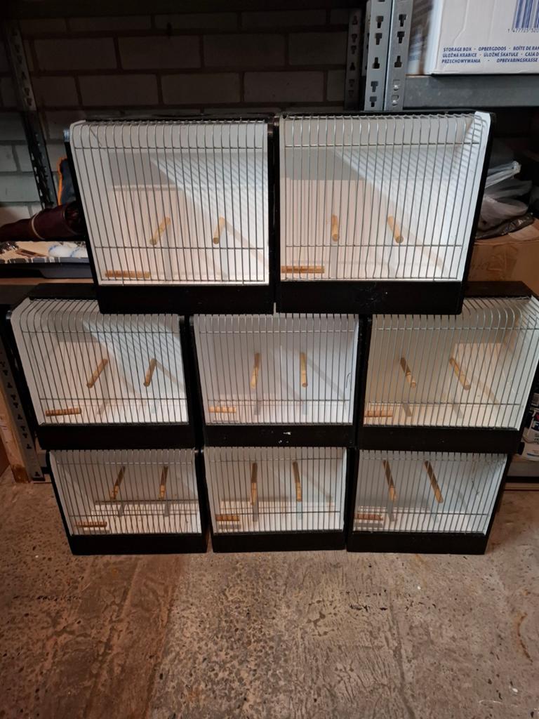 Te koop, Dieren en Toebehoren, Ophalen, Hout, Overige typen
