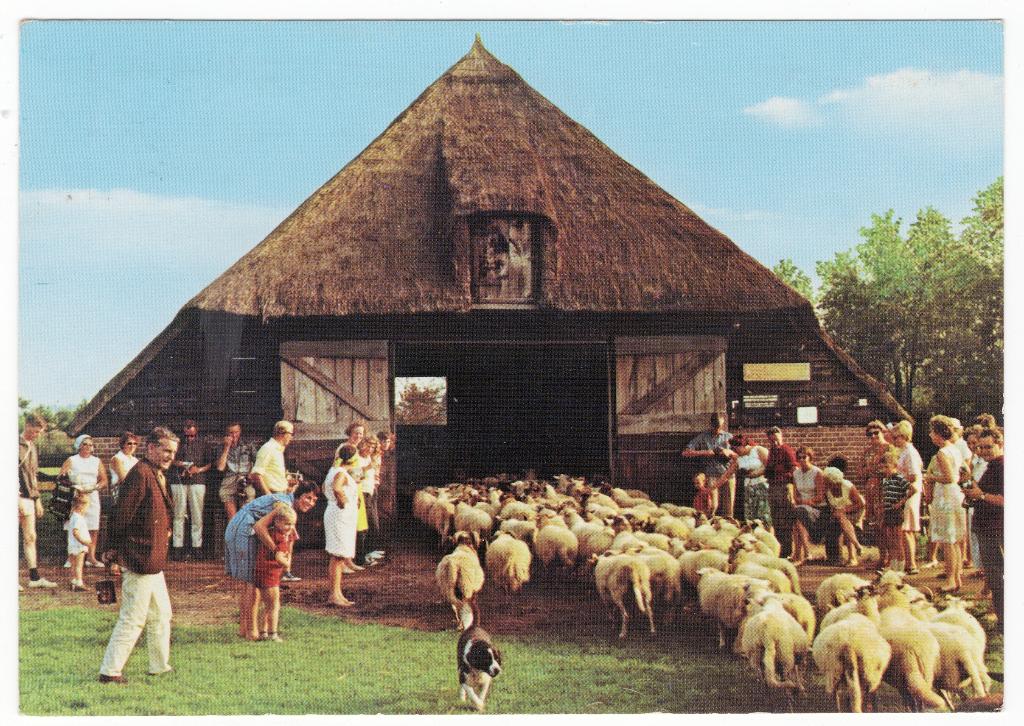B2688 Drente, schaapskooi, Verzamelen, Ophalen of Verzenden, 1960 tot 1980, Gelopen, Drenthe