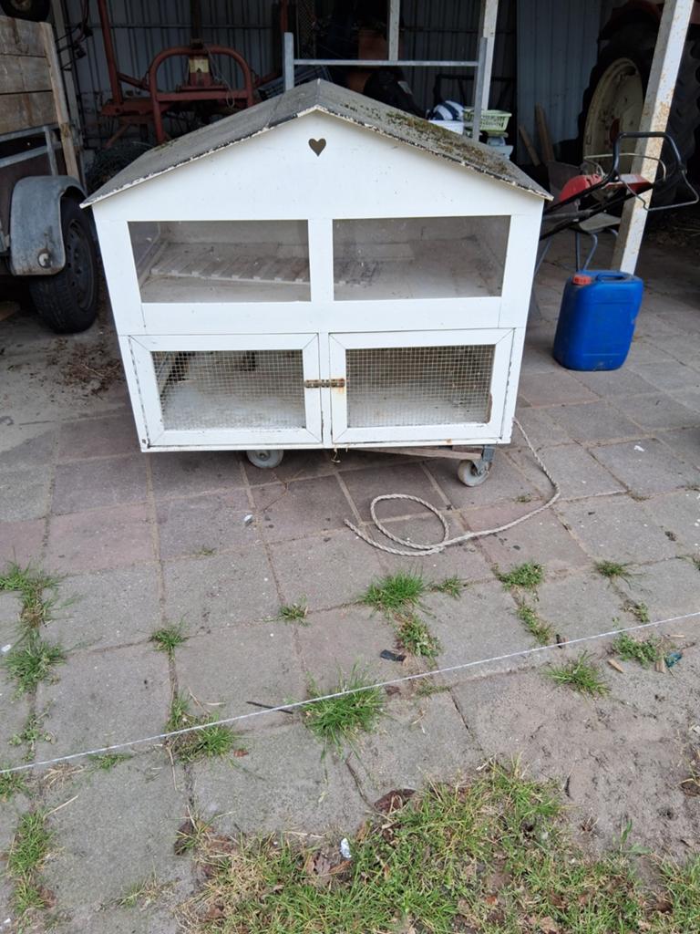 Konijnen hok, Ophalen, Gebruikt, 90 cm of meer, Konijn
