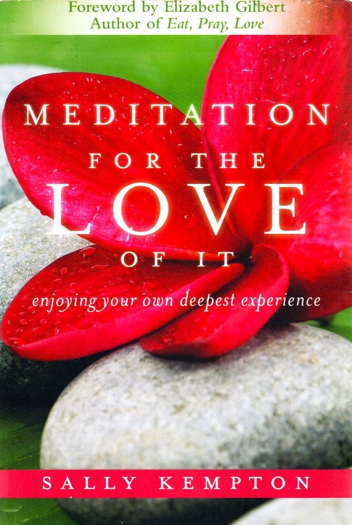 Meditation For The Love Of It - Sally Kempton 9781604070811, Achtergrond en Informatie, Spiritualiteit algemeen, Ophalen of Verzenden