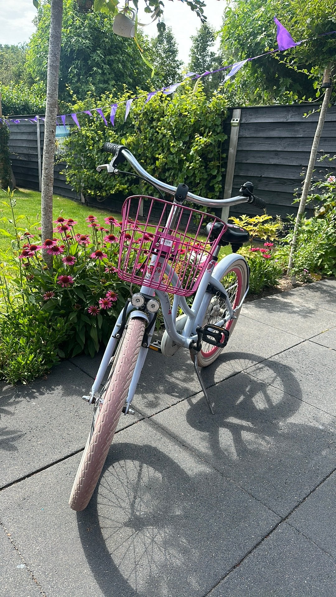 Stoere Alpina  meiden fiets 22 inch, Ophalen, Zo goed als nieuw