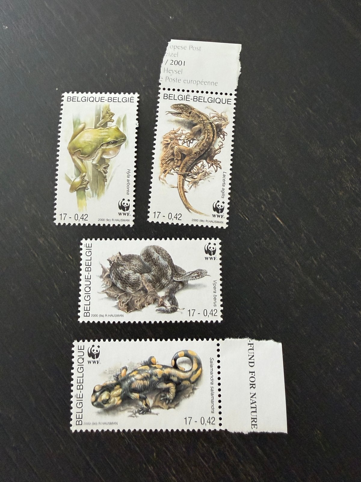 Belgische WWF Postzegels 2000 - Amfibieën & Reptielen, Ophalen of Verzenden