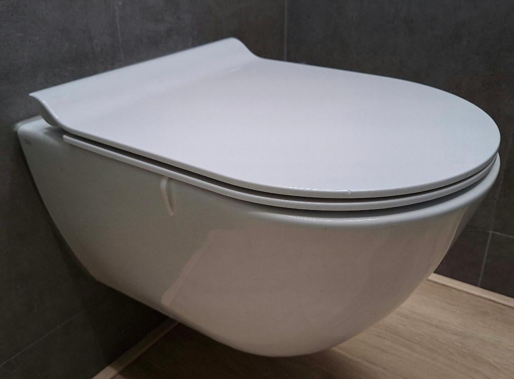 toilet incl. bril, Ophalen, Zo goed als nieuw, Steen, Toilet