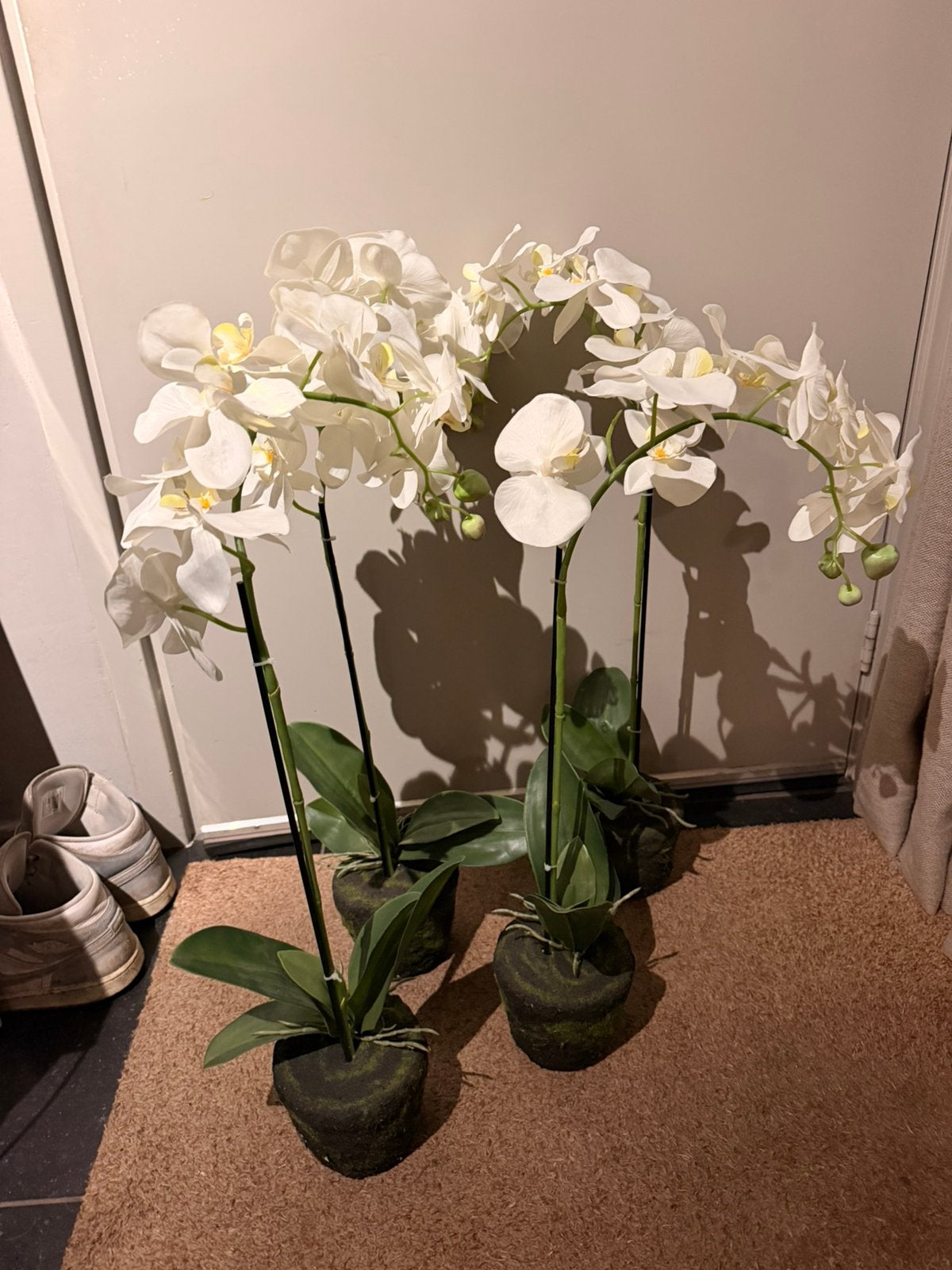Hele mooie kunt orchideeën, Ophalen of Verzenden, Zo goed als nieuw