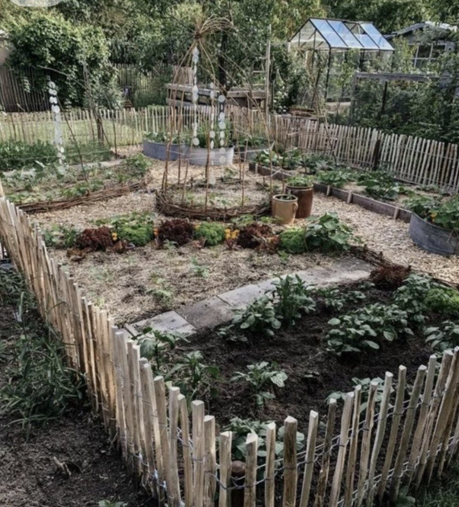 MOESTUIN GEZOCHT ALKMAAR EN OMGEVING, Ophalen, Nieuw