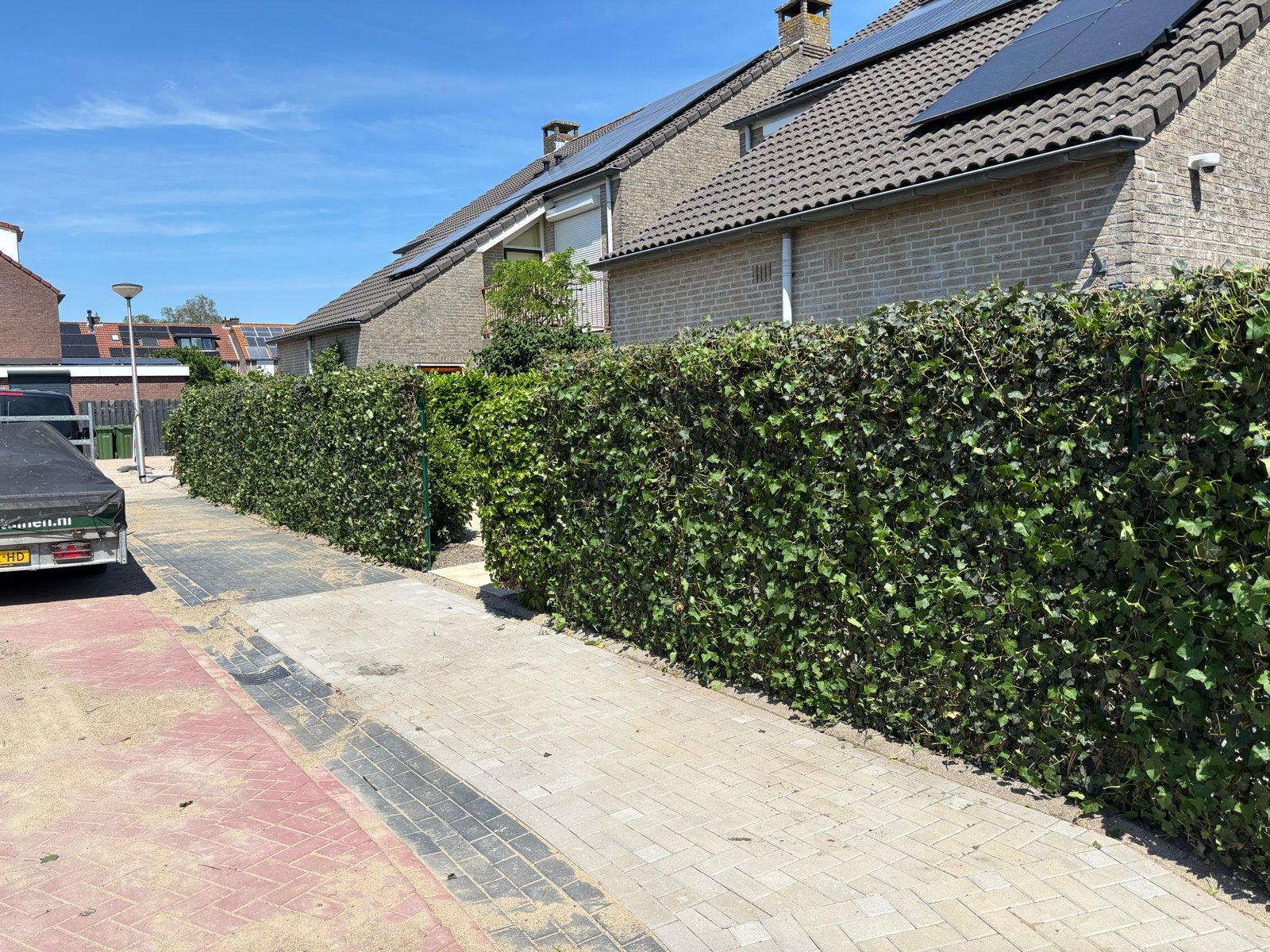 6 stuks Hedera Haag Kant & Klaar 120x180cm  -, Ophalen, Vaste plant, Bloeit niet, Halfschaduw
