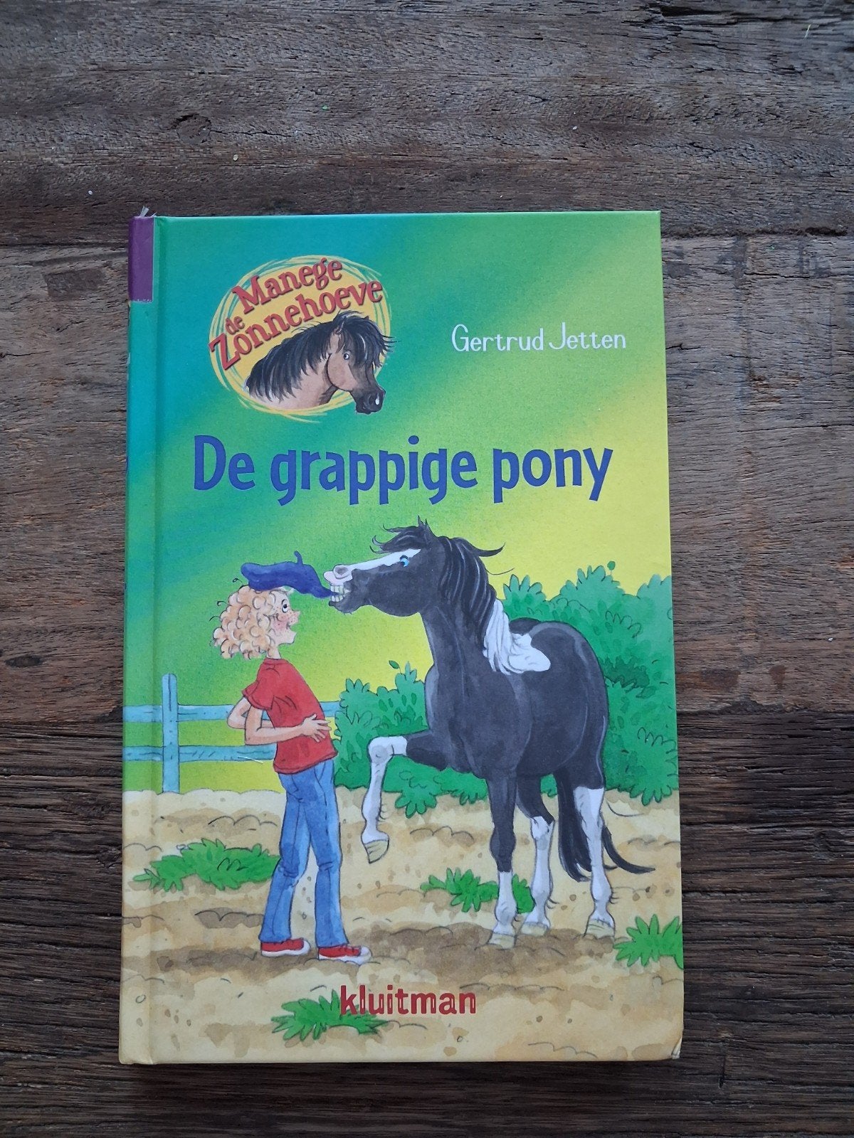 Gertrud Jetten - De grappige pony, Fictie algemeen, Ophalen of Verzenden, Zo goed als nieuw, Gertrud Jetten