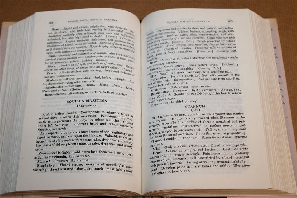 Boericke Materia Medica with Repertory — Homeopathie, Boeken, Ophalen of Verzenden, Gelezen, Overige onderwerpen, Achtergrond en Informatie