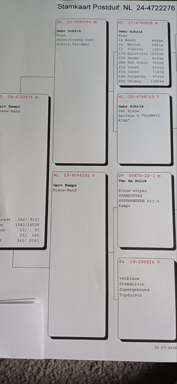 Postduiven   2  Doffers, Dieren en Toebehoren, Vogels | Duiven, Meerdere dieren, Postduif