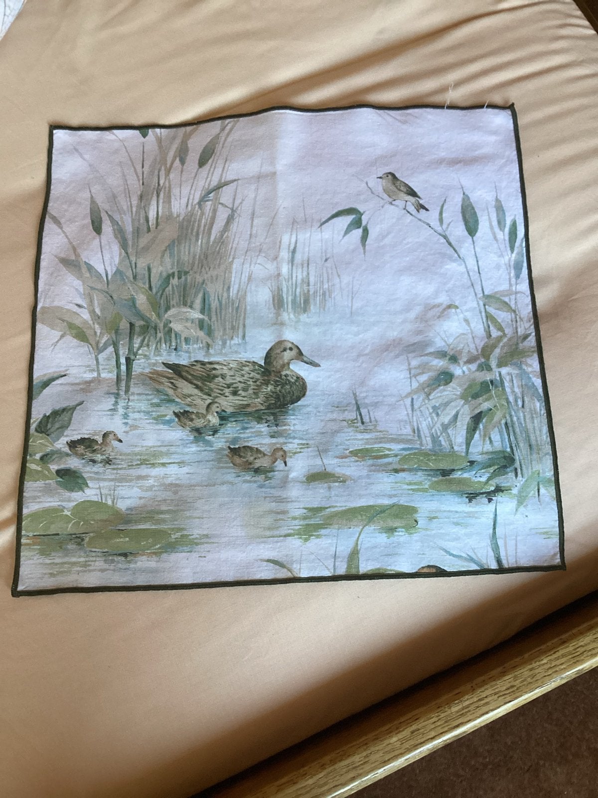 Decoratief Kleedje met Eendenmotief, Vierkant, Ophalen of Verzenden, Zo goed als nieuw, 38 cm
