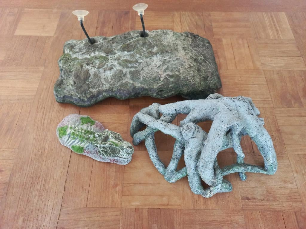 Aquarium / terrarium decoratie, Ophalen of Verzenden, Zo goed als nieuw, Decoratie